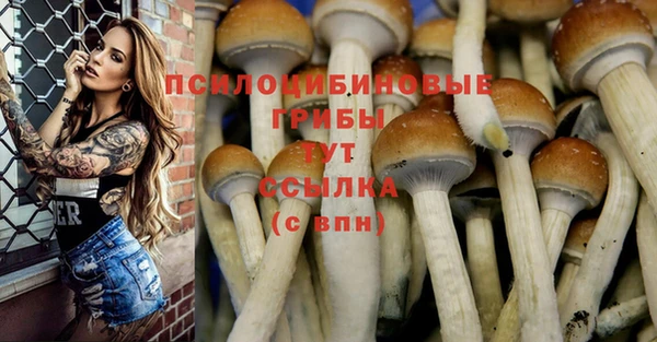 прущий лед Вязники