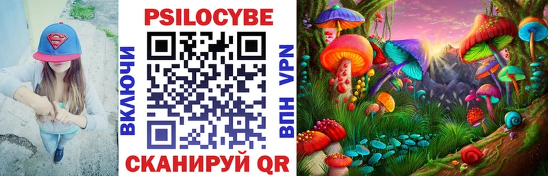Галлюциногенные грибы Psilocybe закладка Ершов